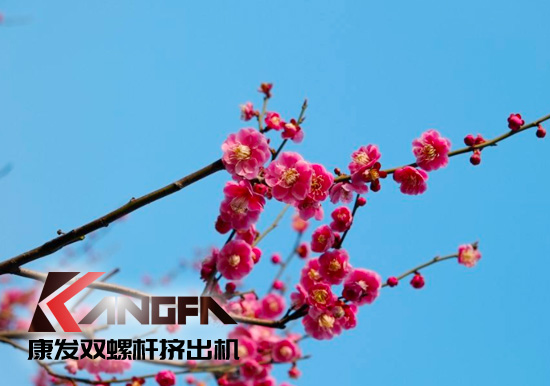 春光明媚,綠意盎然！康發(fā)雙螺桿擠出機(jī)組集中發(fā)貨 