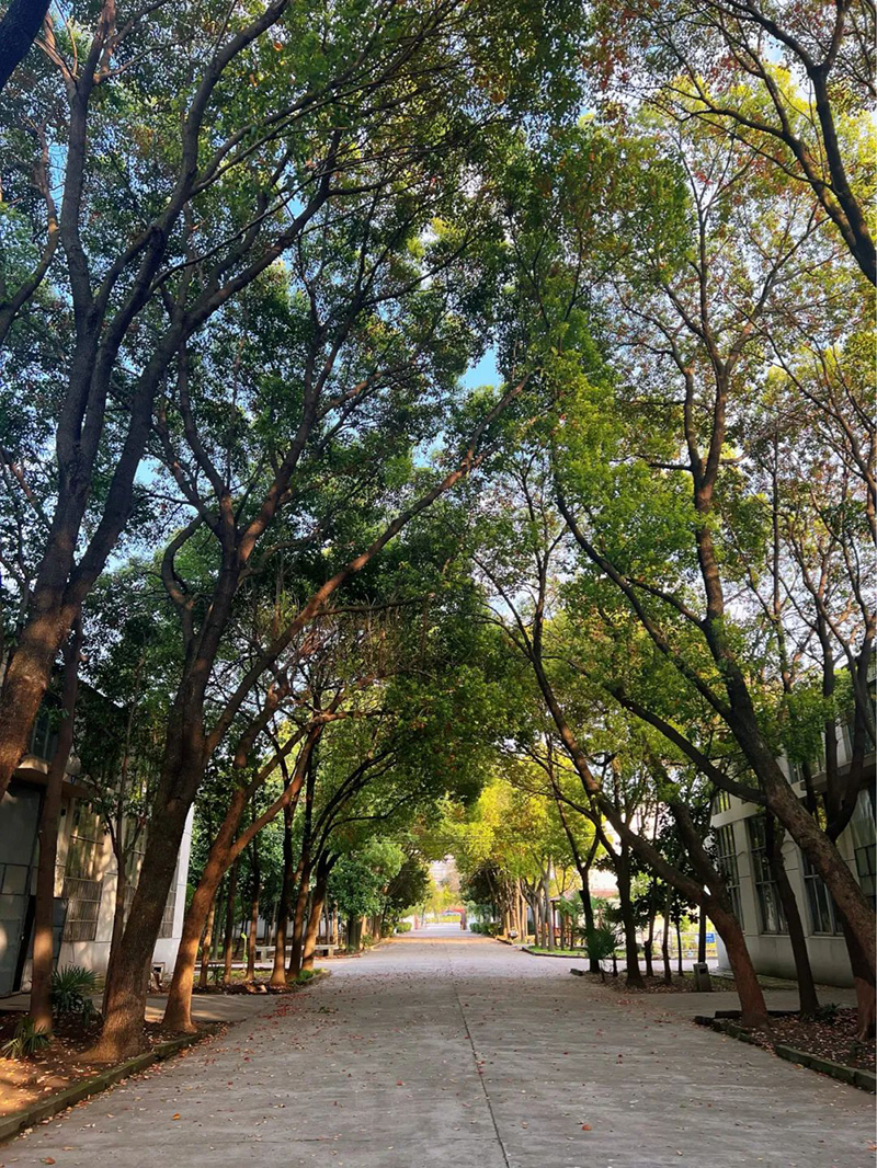 極致的康發雙螺桿擠出機工匠精神，支撐著在追逐夢想的旅程中穩步邁進。