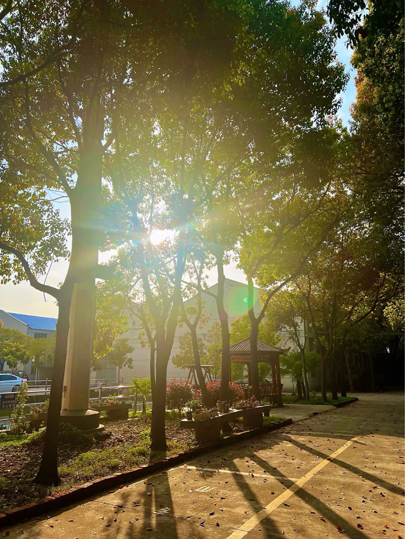 極致的康發雙螺桿擠出機工匠精神，支撐著在追逐夢想的旅程中穩步邁進。