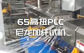 65高扭+PLC，尼龍加纖雙螺桿擠出機試機